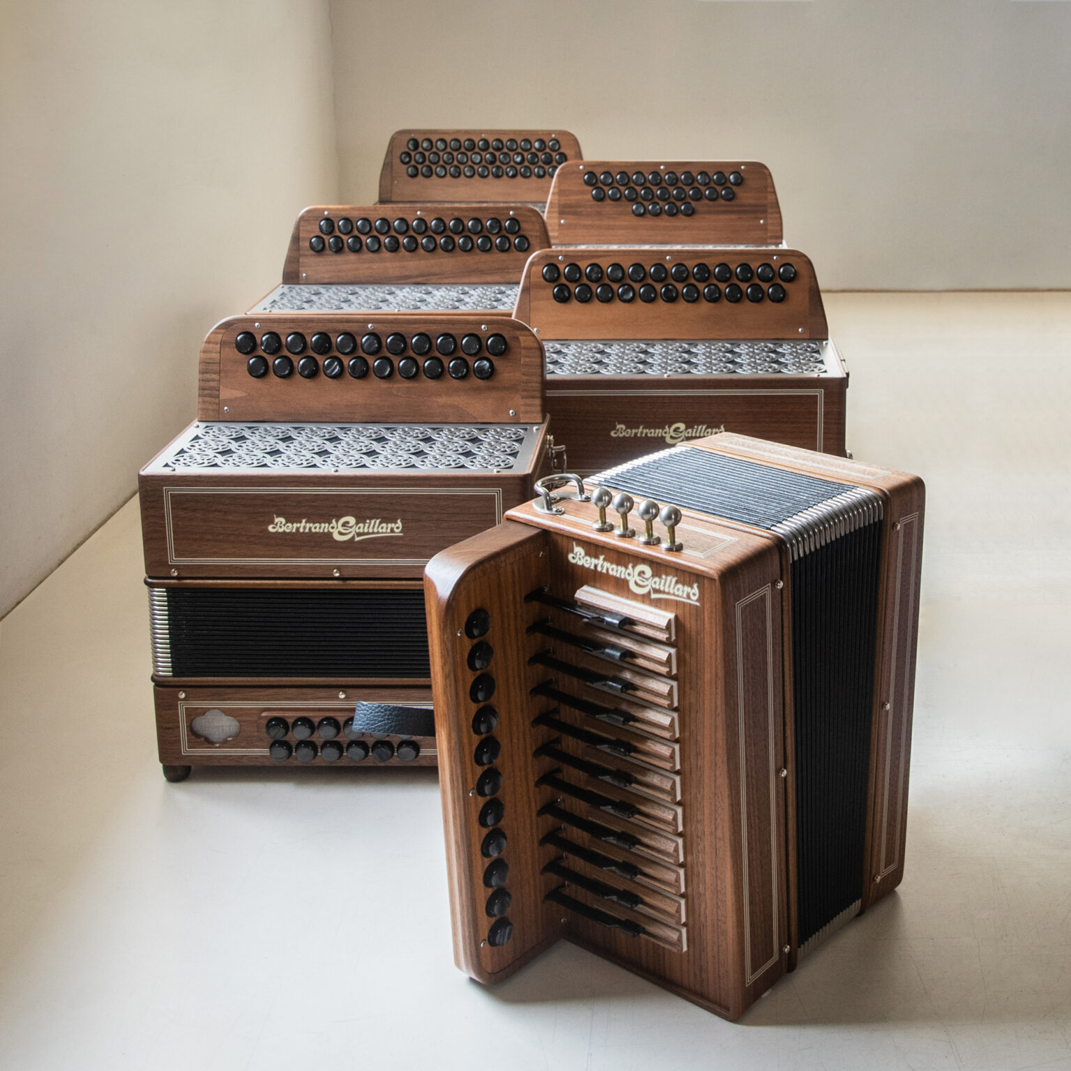 My models Bertrand Gaillard diatonic and chromatic accordions